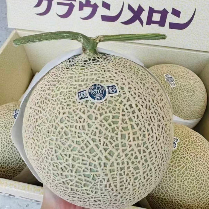 Japan Air-Flown Premium Fruit Shizuoka Crown Melon クラウンメロン 静岗温室
