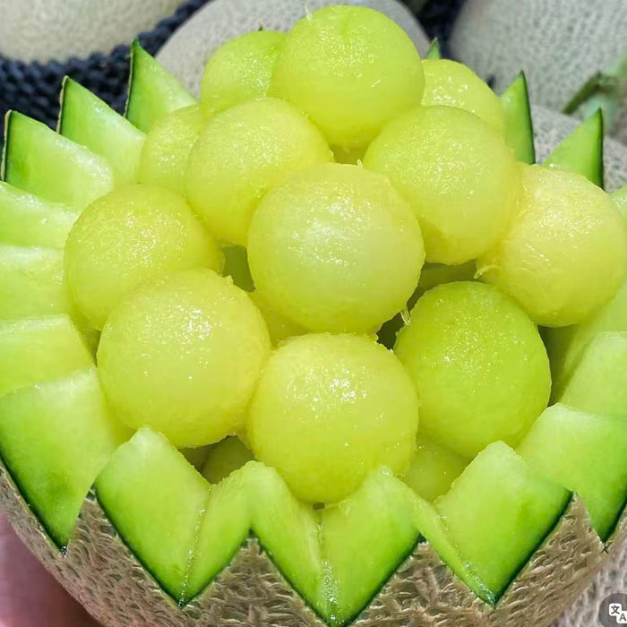 Japan Air-Flown Premium Fruit Shizuoka Crown Melon クラウンメロン 静岗温室