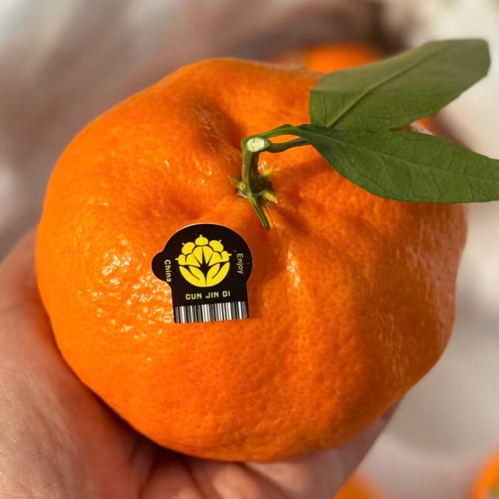 🍊✨ Premium Chinese Kimpin  Mandarin “Cunjindi Kampyo” Citrus ✨🍊 3Kg Premium Gift Box