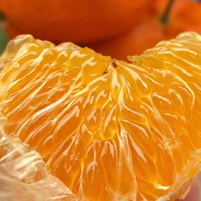 🍊✨ Premium Chinese Kimpin  Mandarin “Cunjindi Kampyo” Citrus ✨🍊 3Kg Premium Gift Box