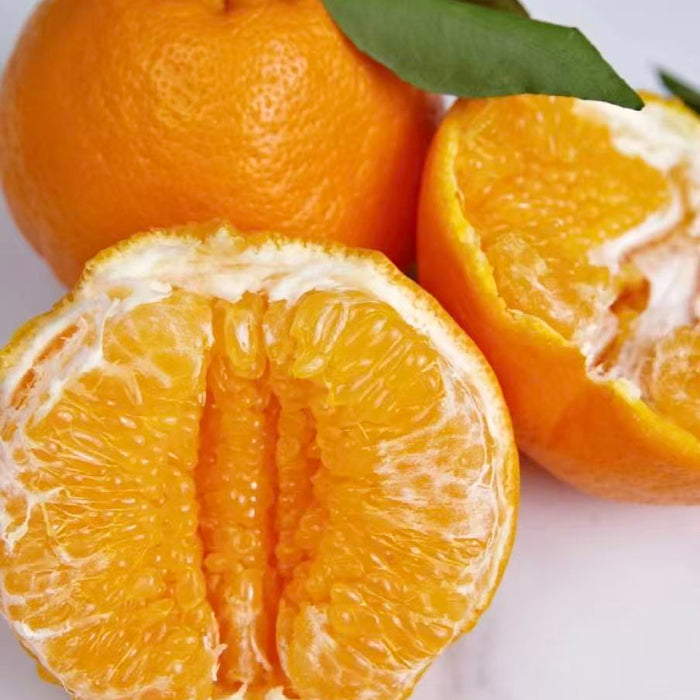 DAYA Mandarin –Thin Peel & Extra Juicy-2.5Kg