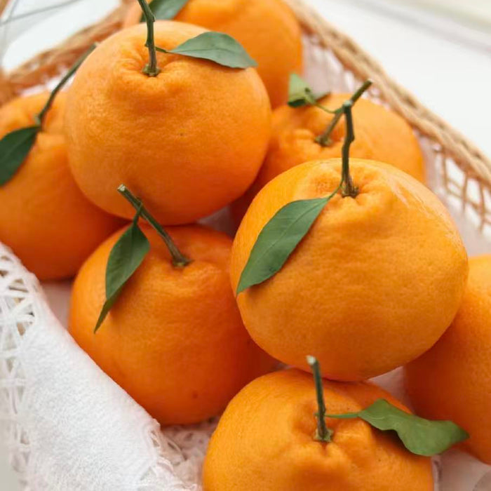 DAYA Mandarin –Thin Peel & Extra Juicy-2.5Kg