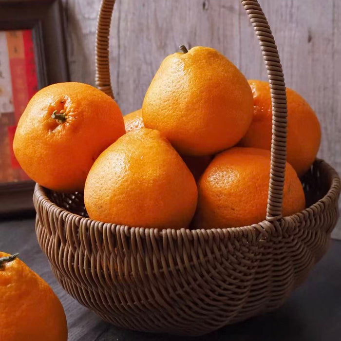 DAYA Mandarin –Thin Peel & Extra Juicy-2.5Kg