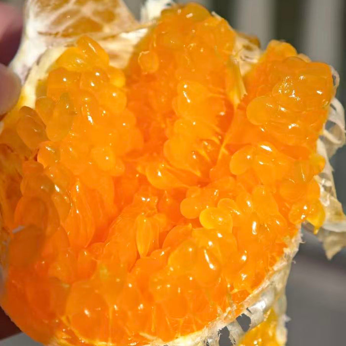 DAYA Mandarin –Thin Peel & Extra Juicy-2.5Kg