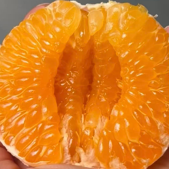 DAYA Mandarin –Thin Peel & Extra Juicy-2.5Kg