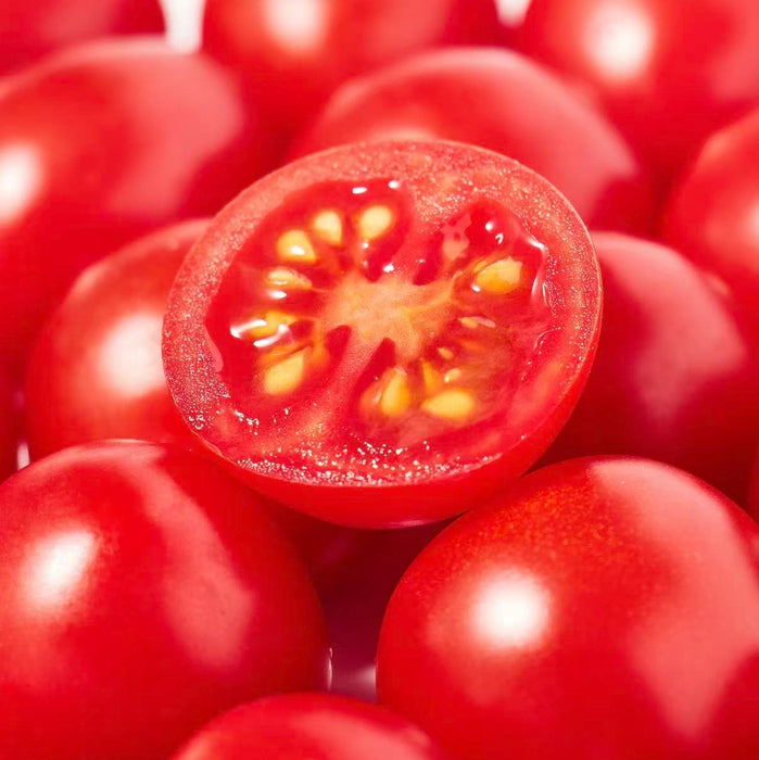 BC Local Cherry Tomatoes – Sweet, Juicy & Farm Fresh
