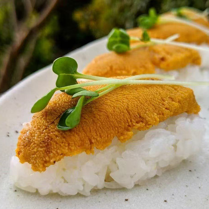BC Wild Sea Urchin (Uni) – Fresh, Pre-Order | 100g Pack