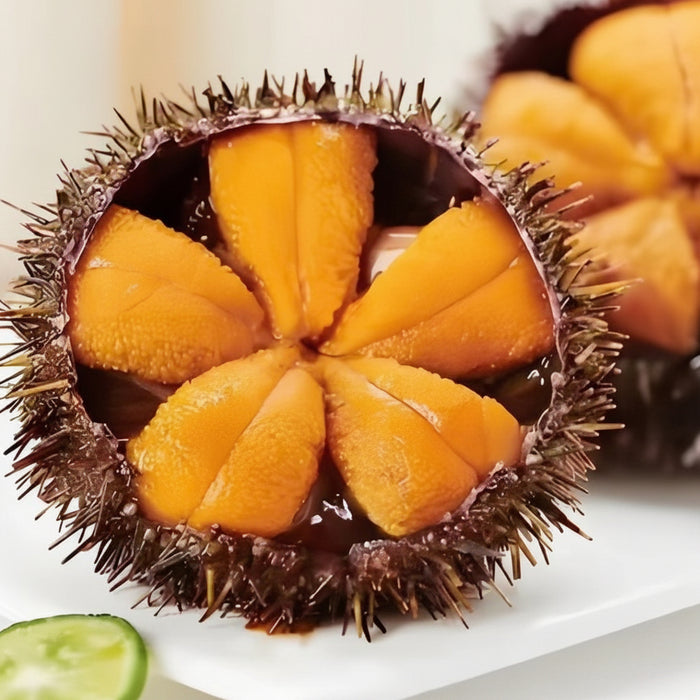 BC Wild Sea Urchin (Uni) – Fresh, Pre-Order | 100g Pack