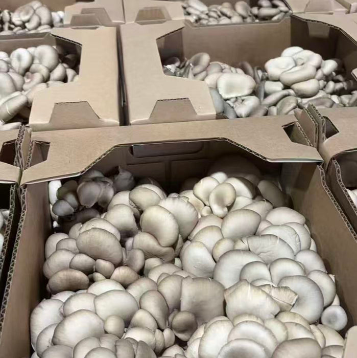 BC Local Farm Fresh Selection – Shiitake, Oyster Mushroom & Yellow Chives