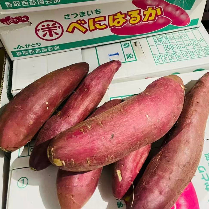 Japanese  やきいも，Yakiimo Kagoshima Anno Sweet Potato