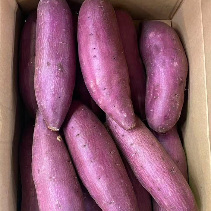 Japanese  やきいも，Yakiimo Kagoshima Anno Sweet Potato