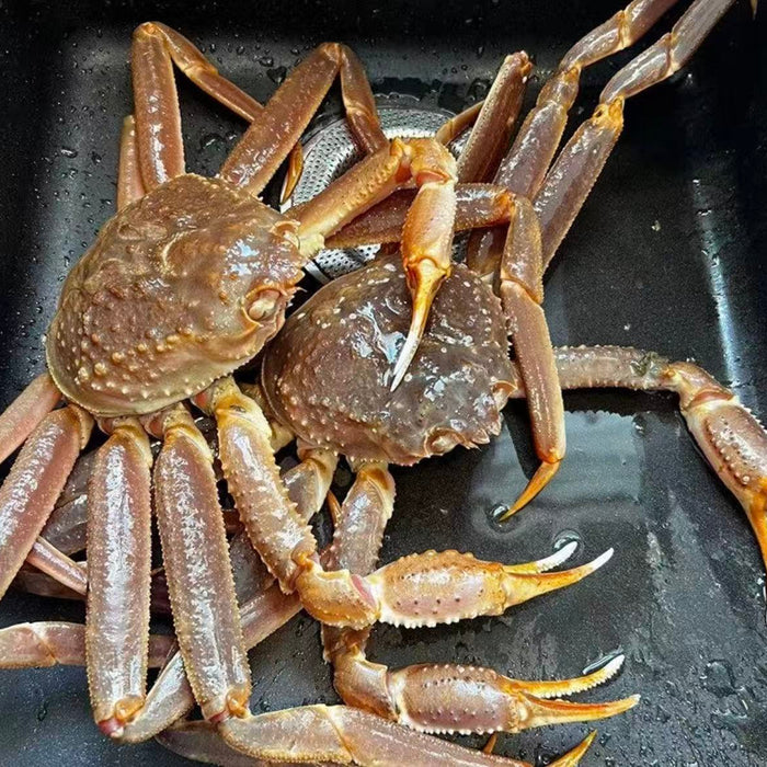 Mother’s Day Premium Seafood Combo (Pre-Order)