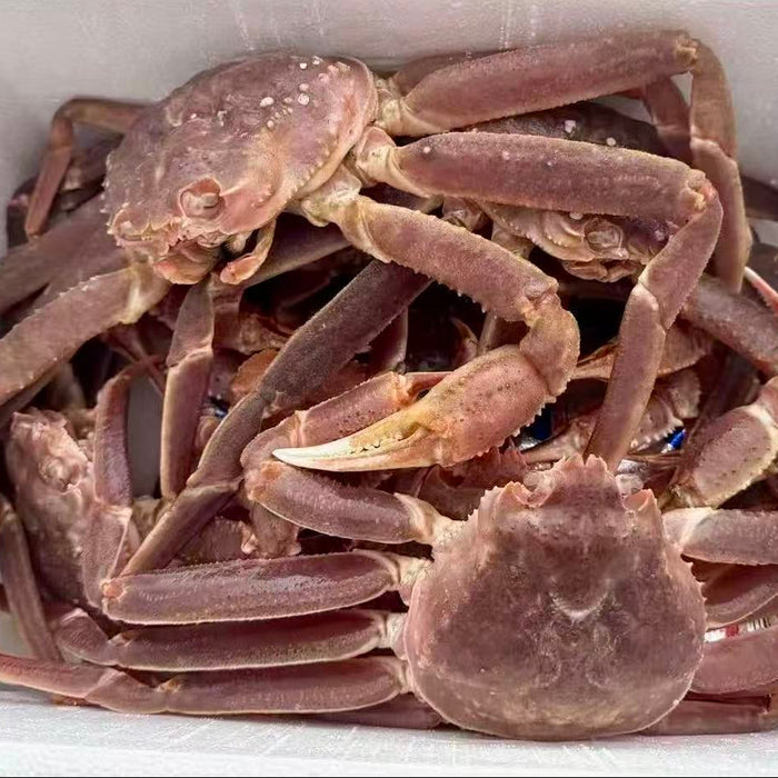 Mother’s Day Premium Seafood Combo (Pre-Order)