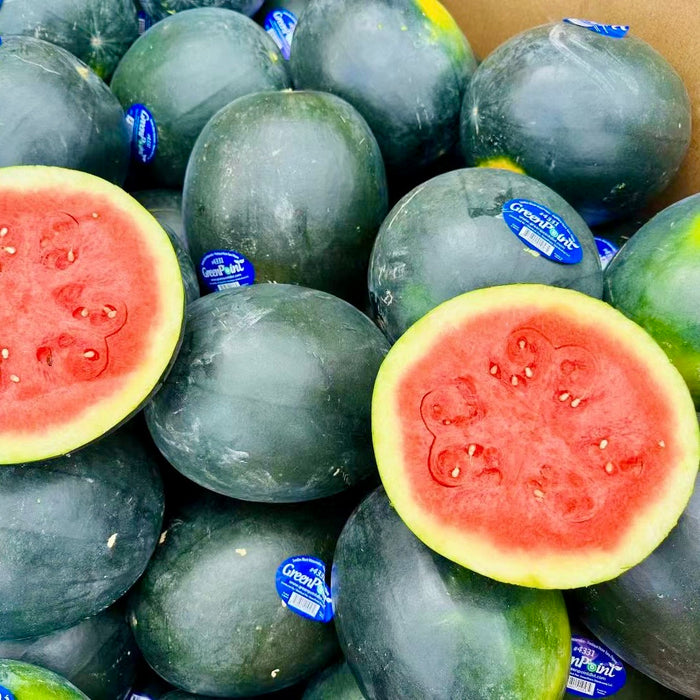 Mexico Seedless Watermelon – Sweet Juicy Red Flesh