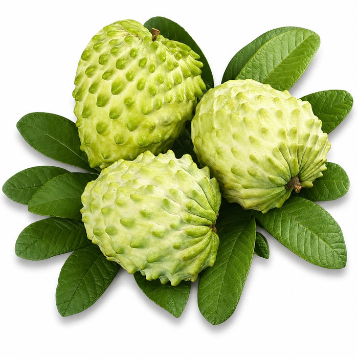 Brazil Air-Flown Custard Apple (Sugar Apple) – Premium Tropical Fruit 4Kg