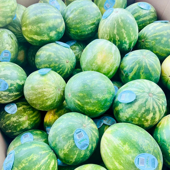 Mexico Seedless Watermelon – Sweet Juicy Red Flesh