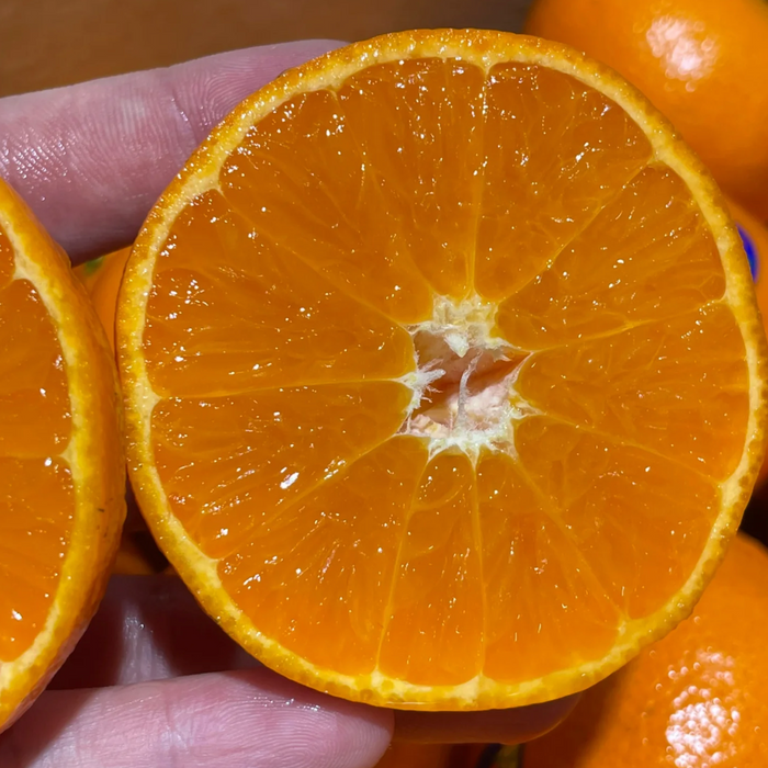 Premium Australian Mandarins — Fresh, Juicy & Naturally Sweet!