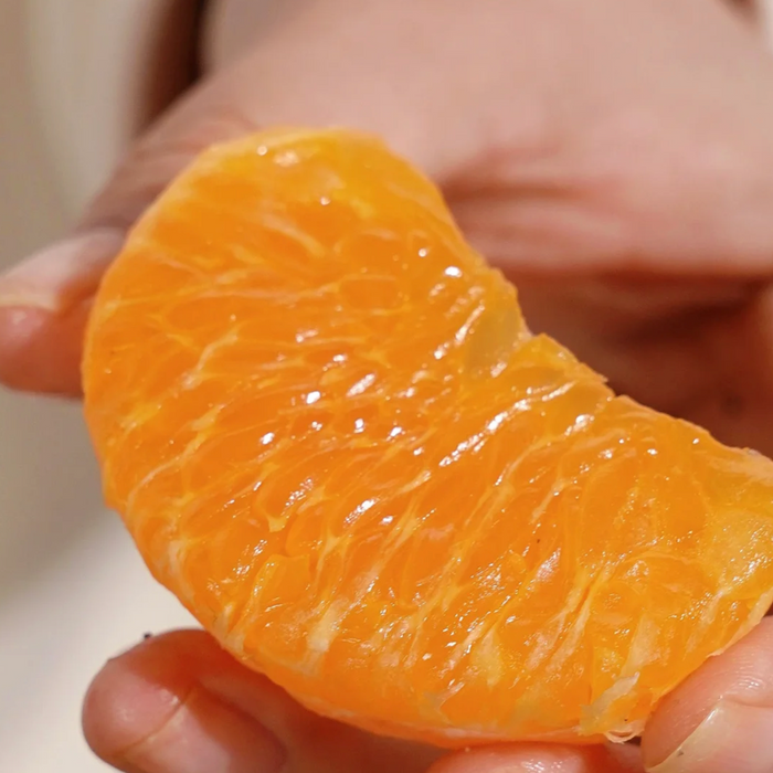 Premium Australian Mandarins — Fresh, Juicy & Naturally Sweet!