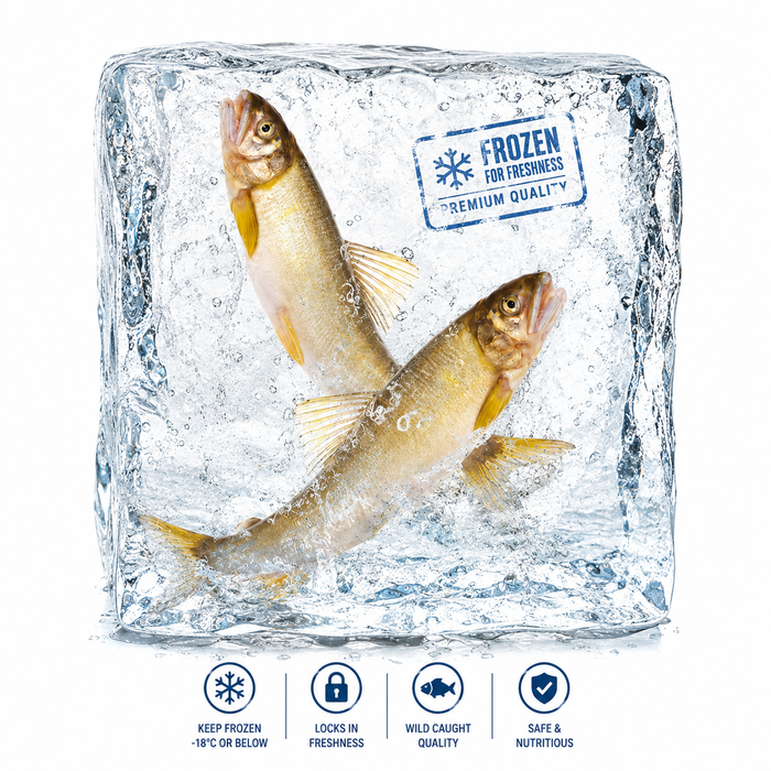 Premium プレミアム鮎 Japanese Frozen Ayu Fish (Sweetfish) （1Kg）
