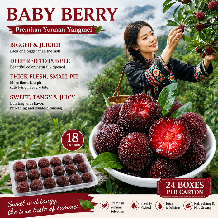 Baby Berry – Premium Yunnan Waxberry 🍒✨  (18ct/Tray)
