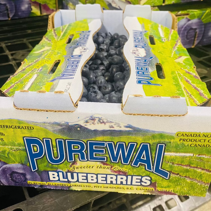 🫐 Fresh from BC Orchards – First Harvest of the Season!