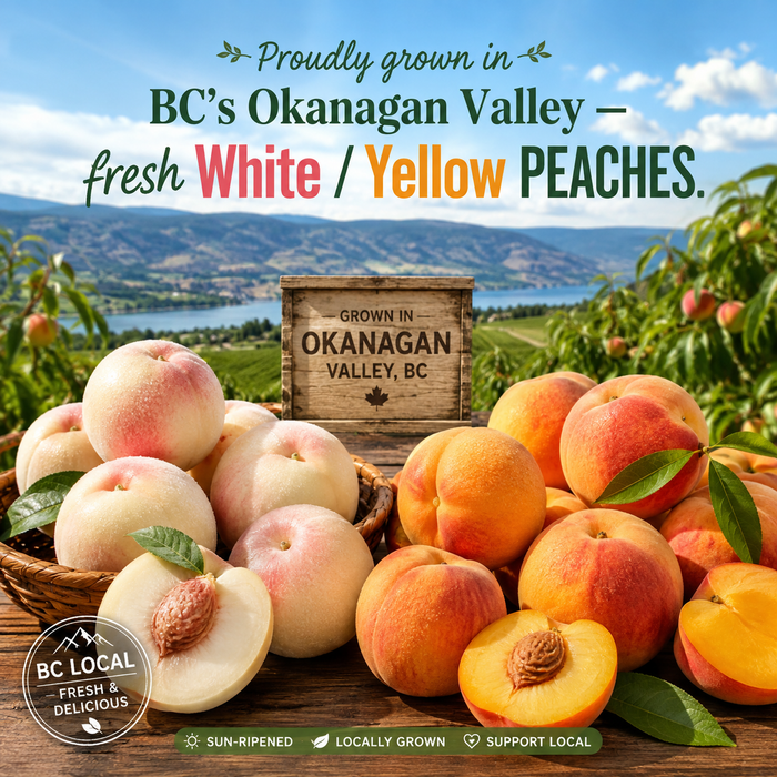 BC Okanagan Local White / Yellow Peaches. Freshly Grown in British Columbia (5/6/7ct/Box)
