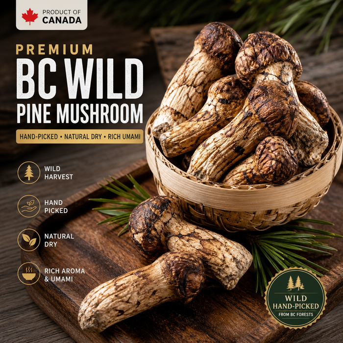 Premium BC Wild Dry Pine Mushroom (Hand-Picked)