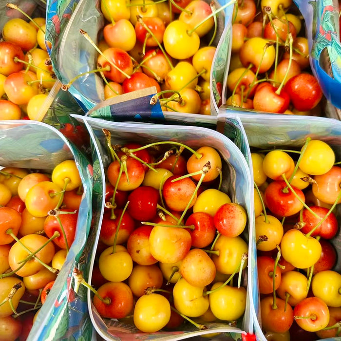 Fresh Red & Rainier Cherries