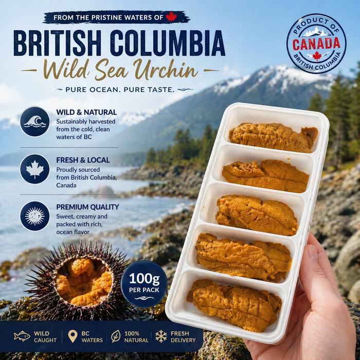 BC Wild Sea Urchin (Uni) – Fresh, Pre-Order | 100g Pack