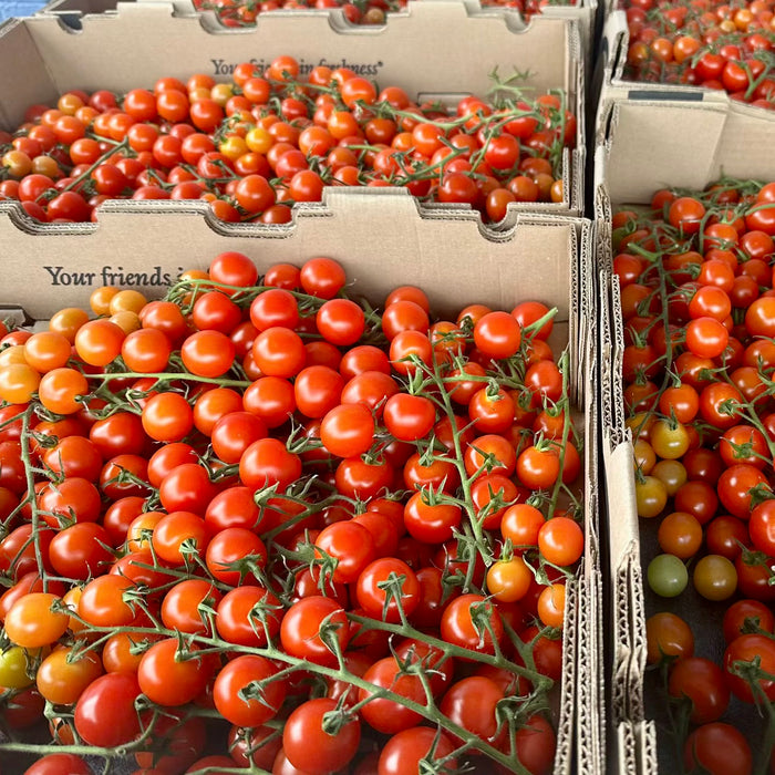 BC Local Cherry Tomatoes – Sweet, Juicy & Farm Fresh
