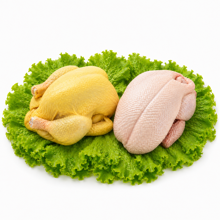 Premium Chicken & Duck – Fresh, Local, High-Quality Poultry