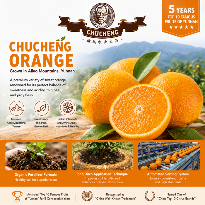 CHUCHENG Premium Orange (XL/5Kg) – Sweet & Juicy Yunnan Citrus