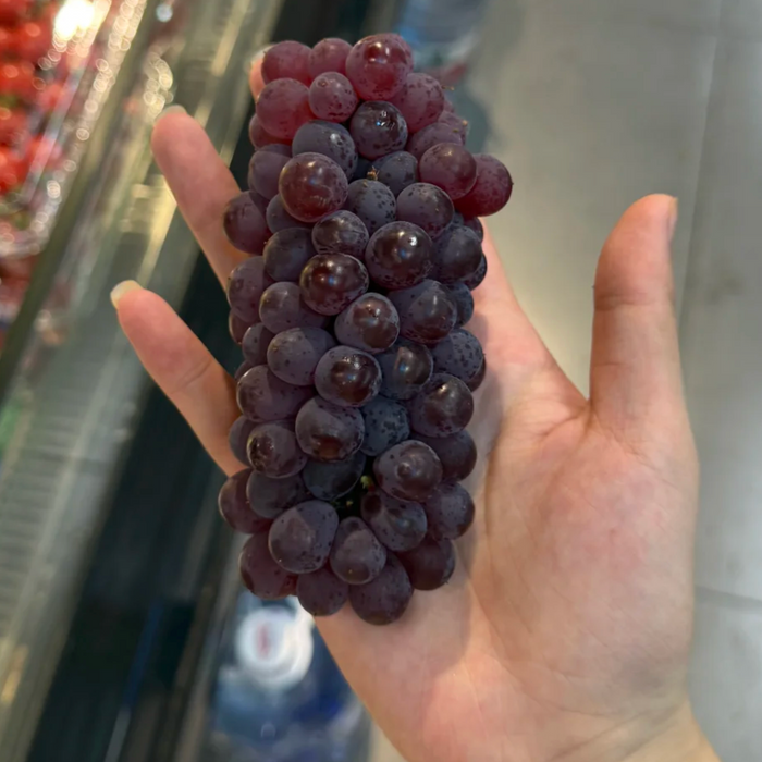 🍇 Japanese Delaware Grapes 🇯🇵 温室デラウェア 300g/Tray