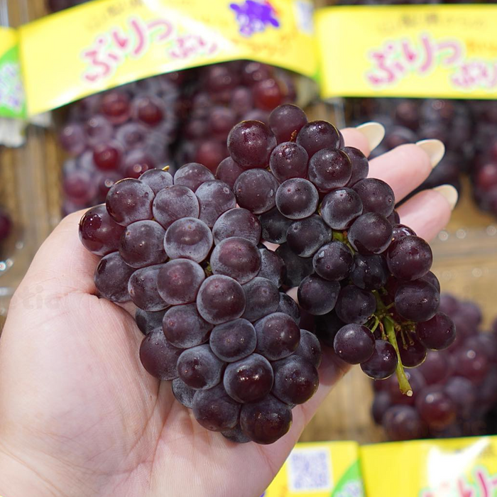 🍇 Japanese Delaware Grapes 🇯🇵 温室デラウェア 300g/Tray