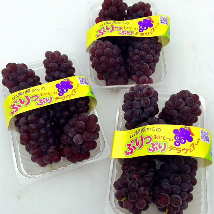 🍇 Japanese Delaware Grapes 🇯🇵 温室デラウェア 300g/Tray