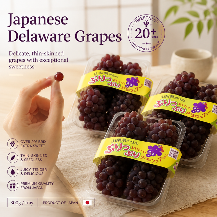 🍇 Japanese Delaware Grapes 🇯🇵 温室デラウェア 300g/Tray