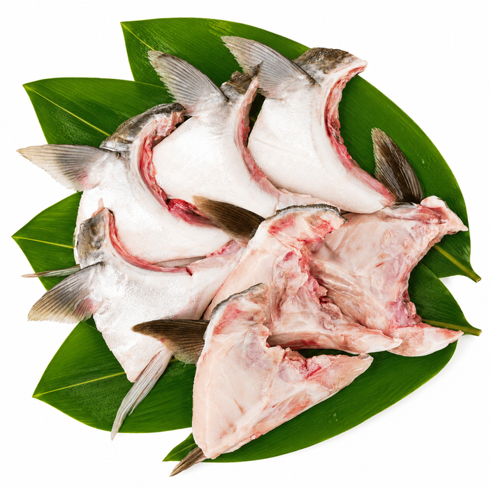 Japanese Frozen Hamachi Collar ハマチカマ – Izakaya Style Favorite （6Kg）
