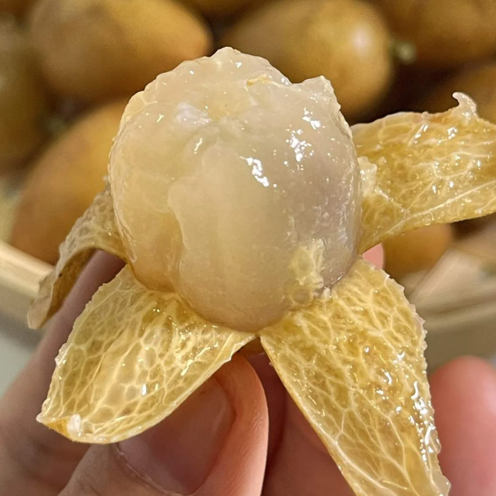 🇨🇳 Premium Chicken Heart Wampee (Huangpi) | Sweet & Juicy Summer Fruit