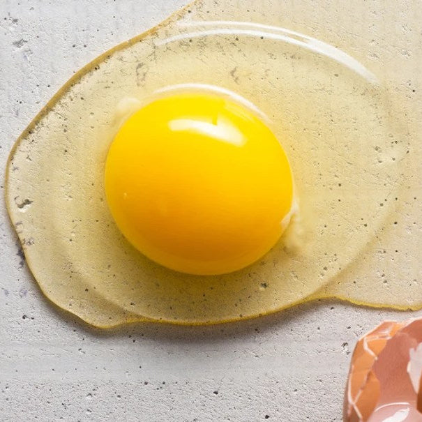 Canadian Local Farm Free Range Egg