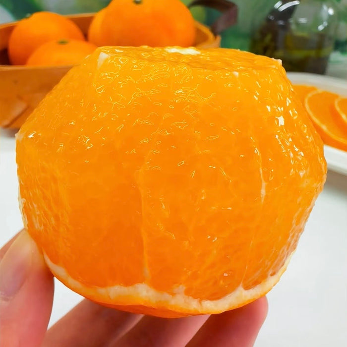 Premium Jelly Orange – Naturally Sweet, Juicy & Easy to Peel