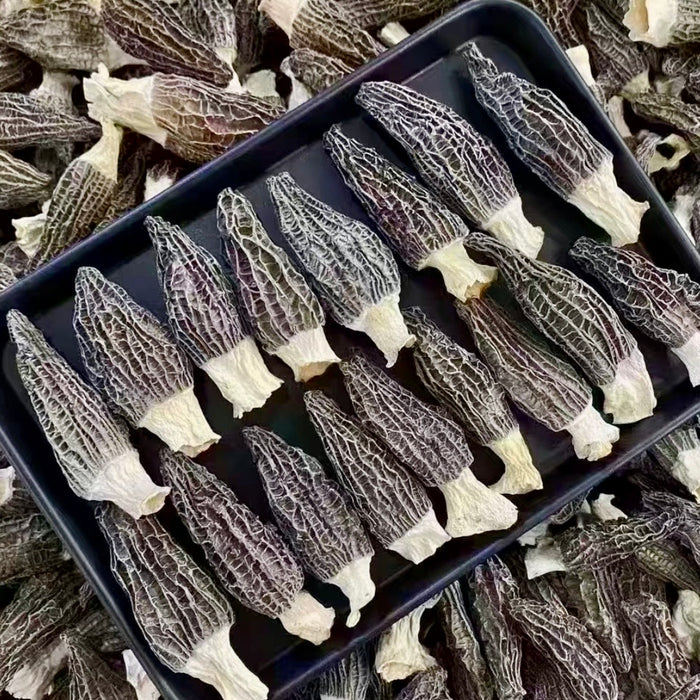 Wild Hand-Picked Morel Mushrooms (Local Harvest)
