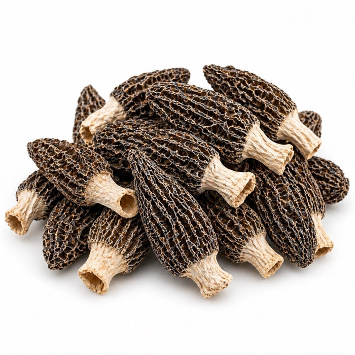 Wild Hand-Picked Morel Mushrooms (Local Harvest)