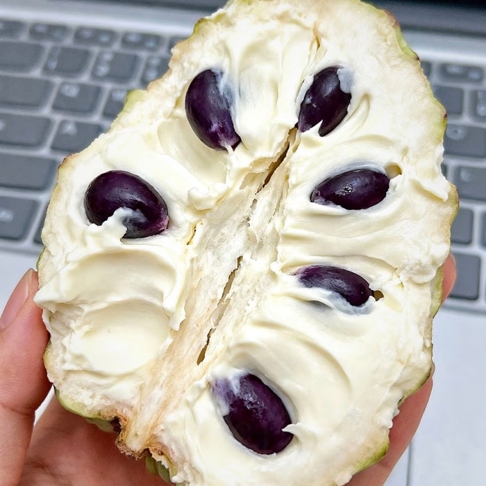 Brazil Air-Flown Custard Apple (Sugar Apple) – Premium Tropical Fruit 4Kg