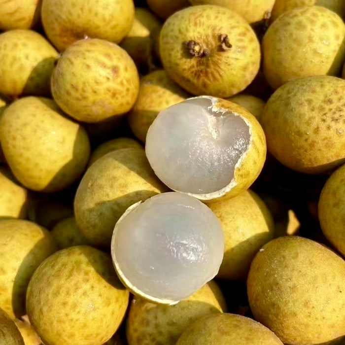 Vietnam Air Flown Premium Longan – Small Seed, Juicy & Sweet (1KG / 10KG)