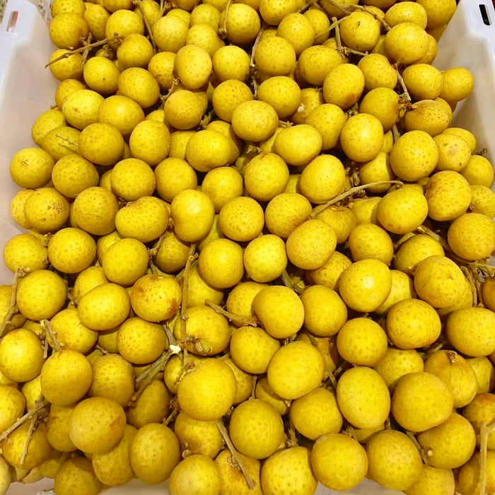 Vietnam Air Flown Premium Longan – Small Seed, Juicy & Sweet (1KG / 10KG)