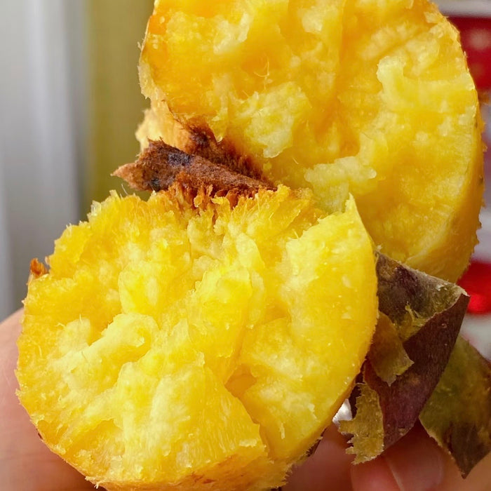 Japanese  やきいも，Yakiimo Kagoshima Anno Sweet Potato