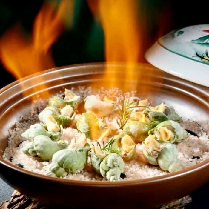 Canadian Wild Frozen Jade Whelk – Premium Cooked Sea Snail