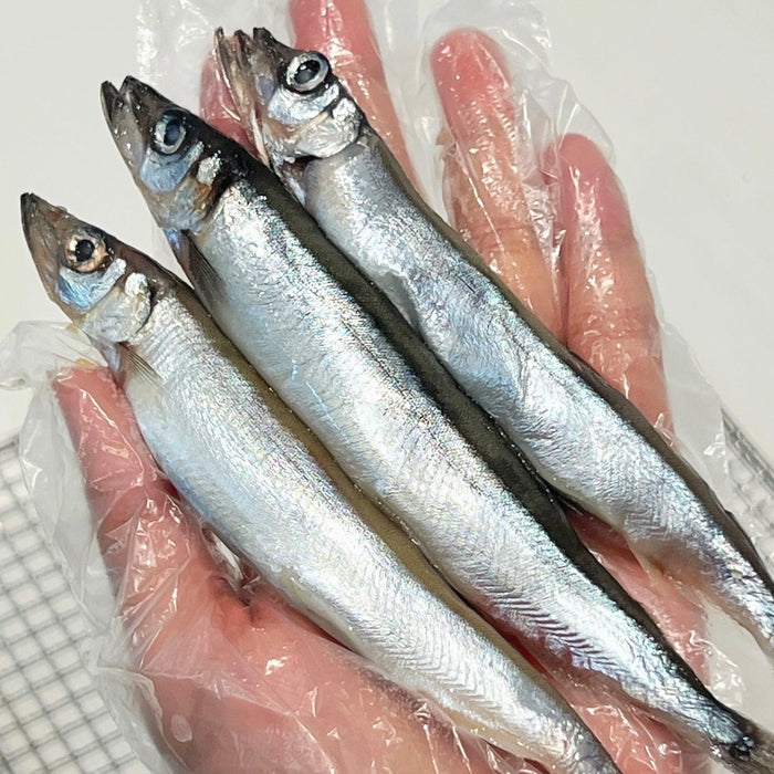 Frozen Capelin (Smelt) – Full of Roe, 9kg/Box – Wild Caught