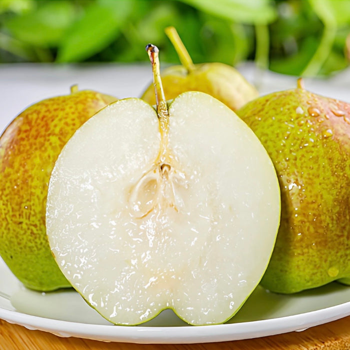 Fresh Premium 玉の貴妃 Pears – Crisp, Juicy & Naturally Sweet (10ct/3Kg)