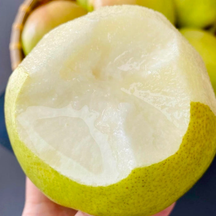 Fresh Premium 玉の貴妃 Pears – Crisp, Juicy & Naturally Sweet (10ct/3Kg)